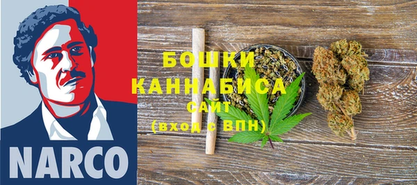 гидра Лихославль