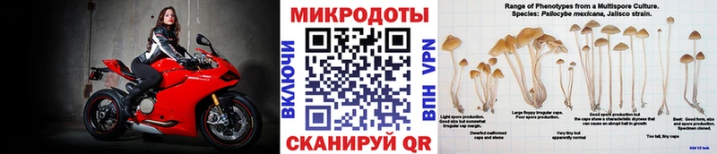 Псилоцибиновые грибы мухоморы  ссылка на мегу tor  мориарти формула  Кирс 