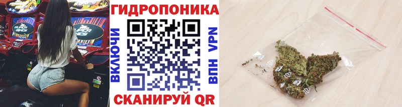 MEGA ссылка  Кирс  Каннабис семена 
